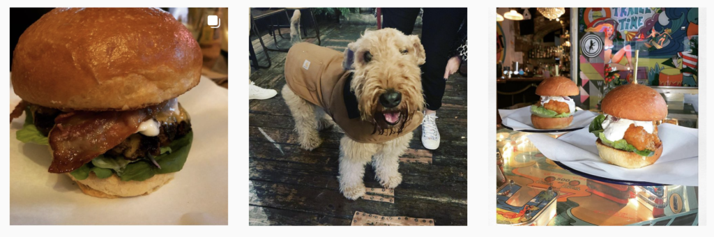 Top 10 dog friendly restaurants in Edinburgh