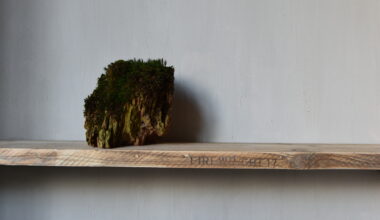 Moss restaurant opening competition